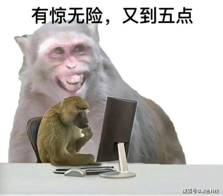 现一款奇特的折纸折完后惊呆了！尊龙凯时新版APP首页一网友发(图2)