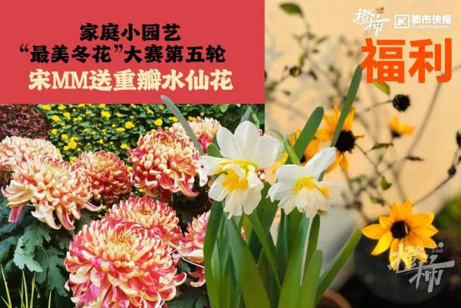 、霸王茶姬动物手机支架……橙柿超多福利送送送z6尊龙网站登录入口时髦人都有的巴拉克拉法帽(图3)
