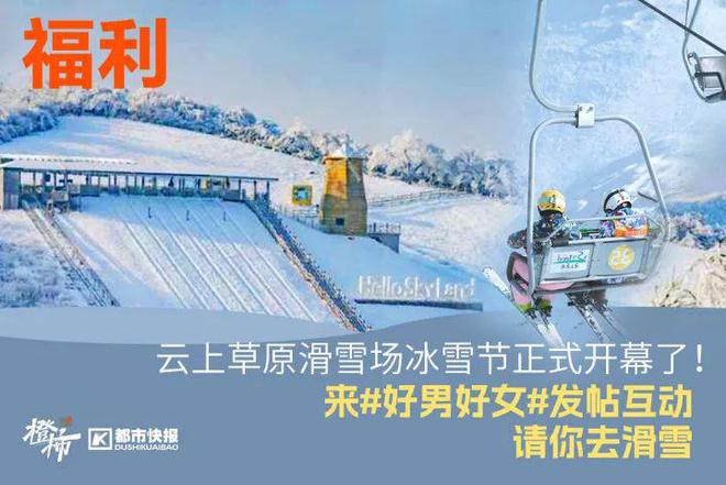 、霸王茶姬动物手机支架……橙柿超多福利送送送z6尊龙网站登录入口时髦人都有的巴拉